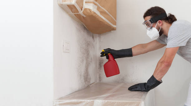 Professional Black Mold Removal technician working in Moncure, NC