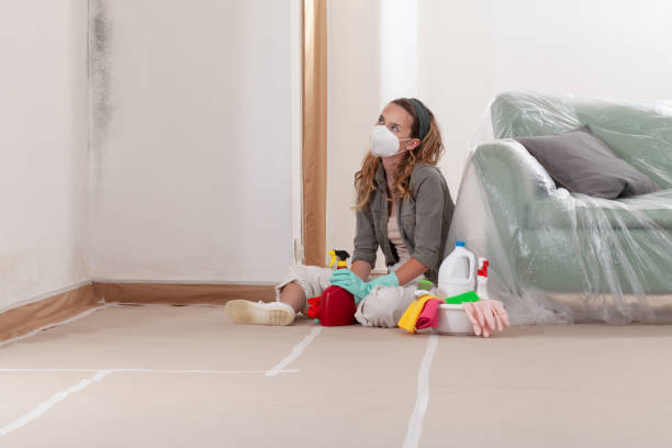 Reliable Black Mold Removal contractor in Moncure, NC by WQB Mold Removal